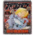 Fullmetal Alchemist
